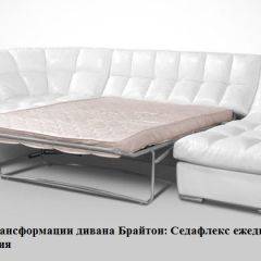 Диван Брайтон со спальным местом (ткань до 300) в Ноябрьске - noyabrsk.mebel24.online | фото 2