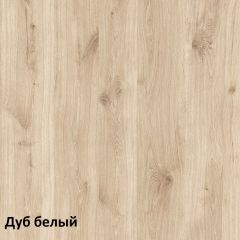 Эйп Шкаф для одежды 13.334 в Ноябрьске - noyabrsk.mebel24.online | фото 5