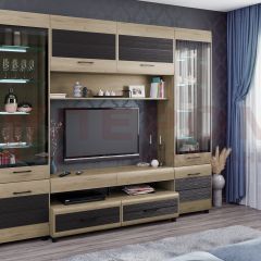 Гостиная Камелия Композиция 11 (Гикори Джексон светлый комбинированный) в Ноябрьске - noyabrsk.mebel24.online | фото