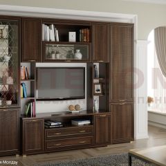Гостиная Карина Композиция 2 (Акация Молдау) в Ноябрьске - noyabrsk.mebel24.online | фото