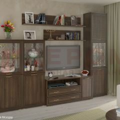 Гостиная Карина Композиция 22 (Акация Молдау) в Ноябрьске - noyabrsk.mebel24.online | фото