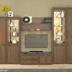 Гостиная Карина Композиция 24 (Акация Молдау) в Ноябрьске - noyabrsk.mebel24.online | фото