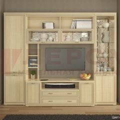 Гостиная Карина Композиция 9 (Ясень Асахи) в Ноябрьске - noyabrsk.mebel24.online | фото