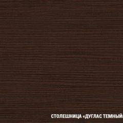 Кухонный гарнитур Полина стандарт 1600 в Ноябрьске - noyabrsk.mebel24.online | фото 12