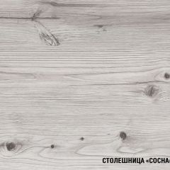 Кухонный гарнитур Сиена мега 2500 мм в Ноябрьске - noyabrsk.mebel24.online | фото 8