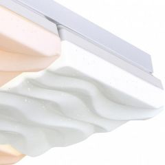 Накладной светильник Escada Frost 10204/4LED в Ноябрьске - noyabrsk.mebel24.online | фото 2
