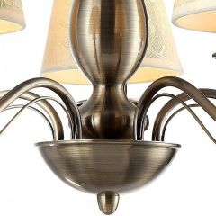 Подвесная люстра Arte Lamp Felcia A9368LM-5AB в Ноябрьске - noyabrsk.mebel24.online | фото 4