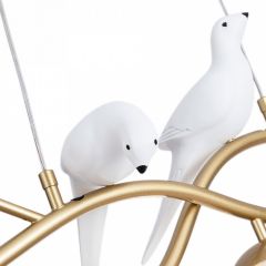 Подвесной светильник Arte Lamp Eltanin A3422SP-4GO в Ноябрьске - noyabrsk.mebel24.online | фото 4
