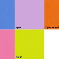 Шкаф 2-х створчатый с ящиками (1000) в Ноябрьске - noyabrsk.mebel24.online | фото 5