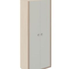 Шкаф 2 двери Глэдис М22 (ЯШС/Белый) в Ноябрьске - noyabrsk.mebel24.online | фото