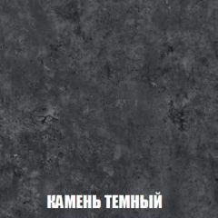 Шкаф 2-х створчатый МСП-1 (Дуб Золотой/Камень темный) в Ноябрьске - noyabrsk.mebel24.online | фото 5