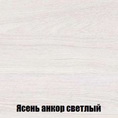 Шкаф 2-х створчатый МСП-1 (Ясень Анкор светлый) в Ноябрьске - noyabrsk.mebel24.online | фото 4