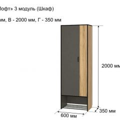 ОЛЬГА-ЛОФТ 3 Шкаф 2-х створчатый в Ноябрьске - noyabrsk.mebel24.online | фото 4