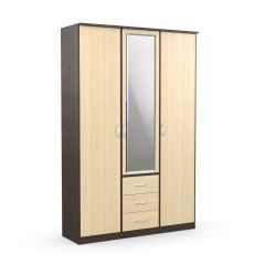 Шкаф комбинированный Дуэт Люкс с зеркалом в Ноябрьске - noyabrsk.mebel24.online | фото