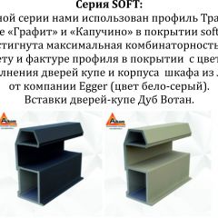Шкаф-купе 1400 серии SOFT D6+D6+B2+PL3 (2 ящика+2штанги) профиль «Капучино» в Ноябрьске - noyabrsk.mebel24.online | фото 12