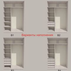 Шкаф-купе 1500 серии SILVER S1+S1+B2+PL2 (2 ящика+1 штанга+1 полка) профиль «Серебро» в Ноябрьске - noyabrsk.mebel24.online | фото 5