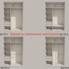 Шкаф-купе 1500 серии SILVER S1+S1+B2+PL2 (2 ящика+1 штанга+1 полка) профиль «Серебро» в Ноябрьске - noyabrsk.mebel24.online | фото 6