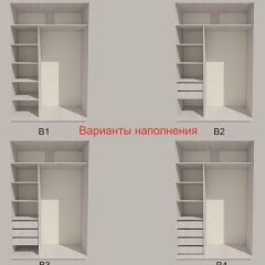 Шкаф-купе 1500 серии SILVER S3+S4+B2+PL4 (2 ящика+F обр.штанга) профиль «Серебро» в Ноябрьске - noyabrsk.mebel24.online | фото 5
