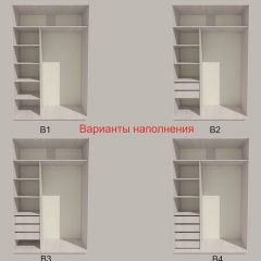 Шкаф-купе 1500 серии SILVER S4+S3Z+B2+PL1 (2 ящика+1 штанга) профиль «Серебро» в Ноябрьске - noyabrsk.mebel24.online | фото 5