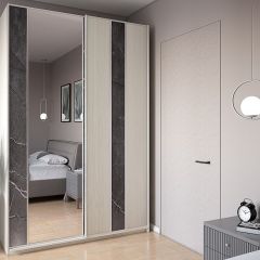 Шкаф-купе 1700 серии SILVER S3+S4+B2+PL4 (2 ящика+F обр.штанга) профиль «Серебро» в Ноябрьске - noyabrsk.mebel24.online | фото