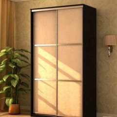 Шкаф-купе "Де-Люкс" 2-х дверный №1 (1200) в Ноябрьске - noyabrsk.mebel24.online | фото