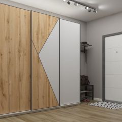 Шкаф-купе 2100 серии SOFT D2+D7+D3+B22+PL2 (по 2 ящика лев/прав+1штанга+1полка) профиль «Графит» в Ноябрьске - noyabrsk.mebel24.online | фото