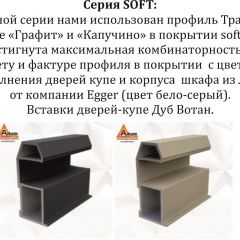 Шкаф-купе 2100 серии SOFT D5+D4+D5+B22+PL3 (по 2 ящика лев/прав+2штанги) профиль «Графит» в Ноябрьске - noyabrsk.mebel24.online | фото 12