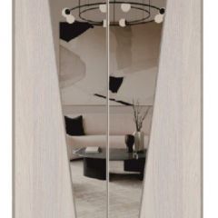 Шкаф-купе 2250 серии SILVER S3+S1+S3Z B22+PL2 (по 2 ящика лев/прав+1штанга+1 полка) профиль «Серебро» в Ноябрьске - noyabrsk.mebel24.online | фото 15