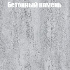 Шкаф-купе Бассо 1.0 (Дуб Крафт серый/Бетонный камень) 2 двери ЛДСП 1 зеркальная вставка в Ноябрьске - noyabrsk.mebel24.online | фото 3