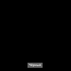 Шкаф купе без зеркала "Ольга-Лофт 10.1" в Ноябрьске - noyabrsk.mebel24.online | фото 6