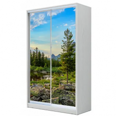 Шкаф-купе ХИТ 22-4-14-77 (420) в Ноябрьске - noyabrsk.mebel24.online | фото 7