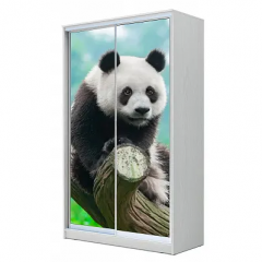 Шкаф-купе ХИТ 22-4-14-77 (420) в Ноябрьске - noyabrsk.mebel24.online | фото 5