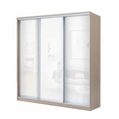 Шкаф-купе ХИТ 22-4-18-888 (420) в Ноябрьске - noyabrsk.mebel24.online | фото 6