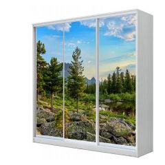 Шкаф-купе ХИТ 23-4-20/2-777 (420) в Ноябрьске - noyabrsk.mebel24.online | фото