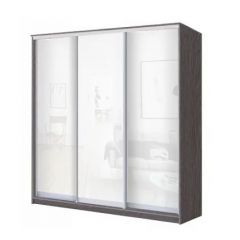 Шкаф-купе ХИТ 24-18-888 (620) в Ноябрьске - noyabrsk.mebel24.online | фото 9