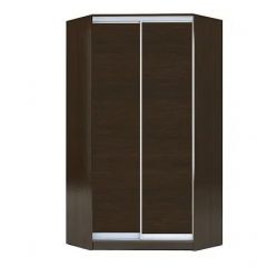 Шкаф-купе ХИТ-У-23-4-11 в Ноябрьске - noyabrsk.mebel24.online | фото 1