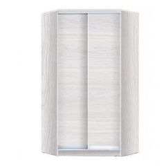 Шкаф-купе ХИТ-У-24-4-11 в Ноябрьске - noyabrsk.mebel24.online | фото 5
