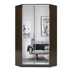 Шкаф-купе ХИТ-У-L-23-64-55 в Ноябрьске - noyabrsk.mebel24.online | фото 1