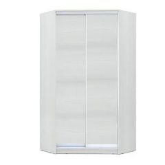 Шкаф-купе ХИТ-У-L-24-64-11 в Ноябрьске - noyabrsk.mebel24.online | фото