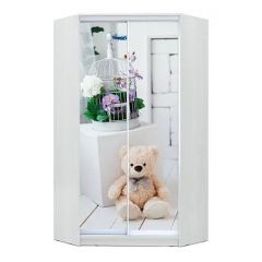 Шкаф-купе ХИТ-У-R-23-64-77 в Ноябрьске - noyabrsk.mebel24.online | фото
