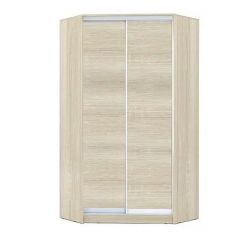 Шкаф-купе ХИТ-У-R-24-64-11 в Ноябрьске - noyabrsk.mebel24.online | фото 8
