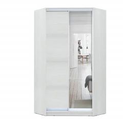 Шкаф-купе ХИТ-У-R-24-64-15 в Ноябрьске - noyabrsk.mebel24.online | фото