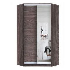 Шкаф-купе ХИТ-У-R-24-64-15 в Ноябрьске - noyabrsk.mebel24.online | фото 11