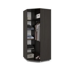 ВИОРА Шкаф угловой В59 в Ноябрьске - noyabrsk.mebel24.online | фото 4