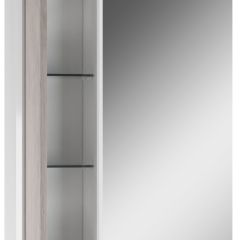 Шкаф-зеркало Uno 60 Дуб серый левый/правый Домино (DU1503HZ) в Ноябрьске - noyabrsk.mebel24.online | фото 3