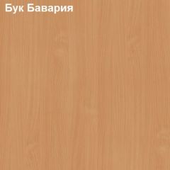 Стол компьютерный с нишей Логика Л-2.11 в Ноябрьске - noyabrsk.mebel24.online | фото