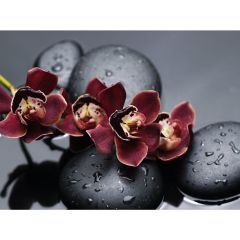 Стол обеденный Бостон Ст101.1 орхидеи в Ноябрьске - noyabrsk.mebel24.online | фото 3