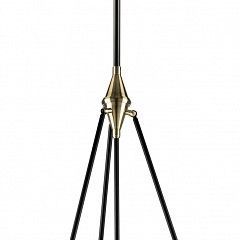 Светильник на штанге Lightstar Modena 816047 в Ноябрьске - noyabrsk.mebel24.online | фото