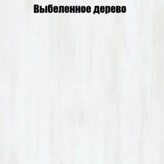 Вешалка V3 в Ноябрьске - noyabrsk.mebel24.online | фото 4