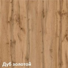 Вуди Шкаф для одежды 13.138 в Ноябрьске - noyabrsk.mebel24.online | фото 4